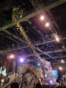 黄河恐竜展0002.JPG